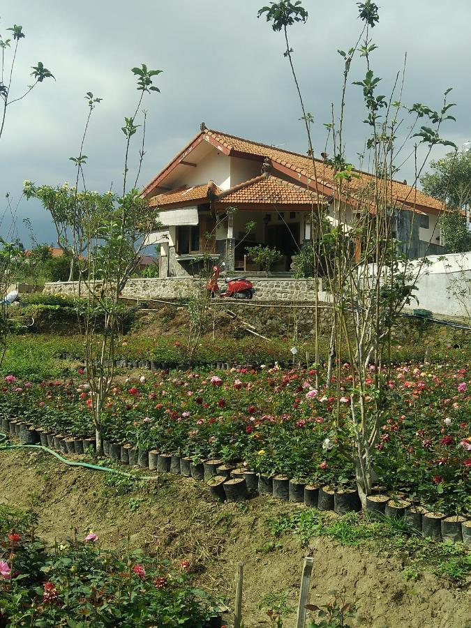 Shanty'S House Batu  Esterno foto